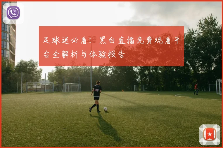 足球迷必看：黑白直播免费观看平台全解析与体验报告